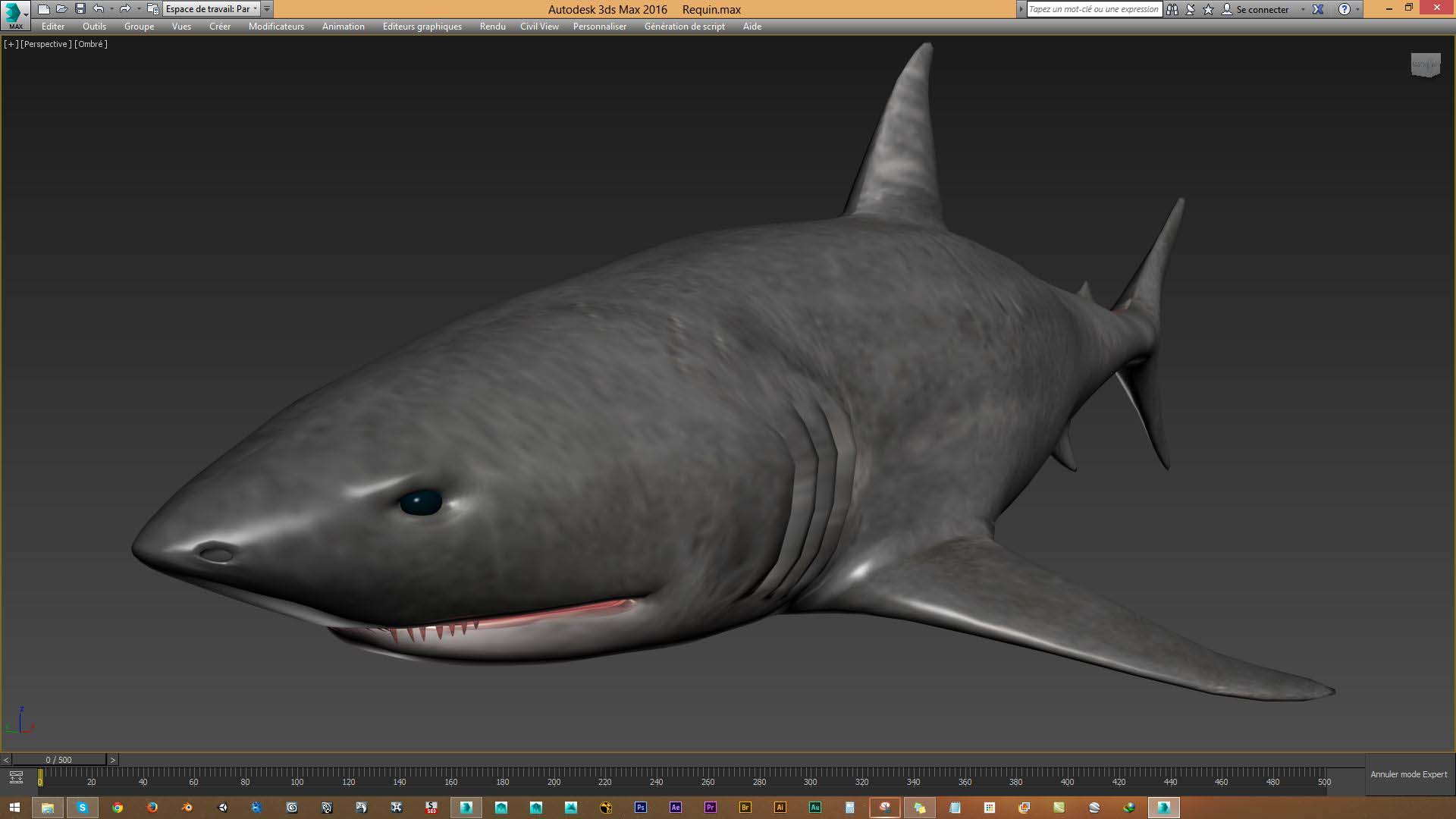 Rendu requin